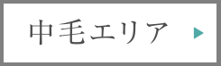 中毛エリア